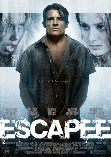 Скачать Беглец (2011)