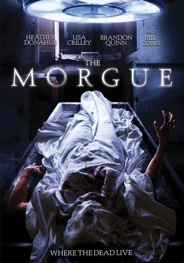Морг (2008) торрент