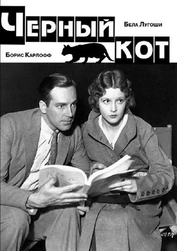 Черный кот (1934) торрент