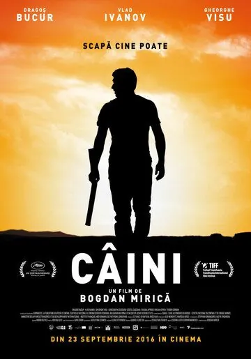 Собаки (2016) через торрент бесплатно Скачать Собаки (2016) через торрент бесплатно