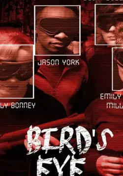 Bird's Eye (2019) торрент