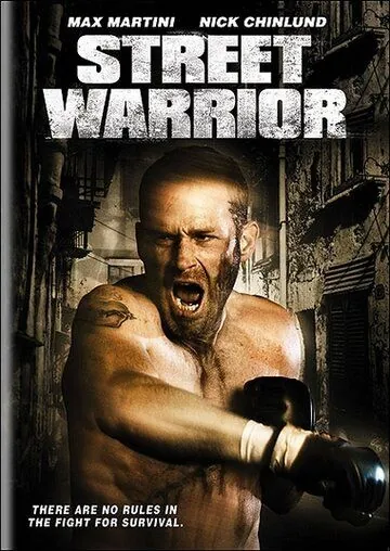 Скачать Уличный воин (2008)