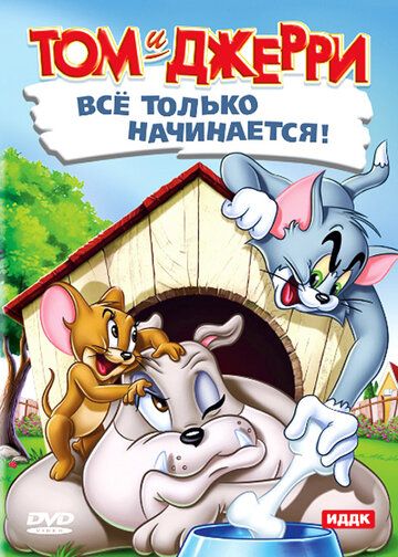 Скачать Кот играет в боулинг