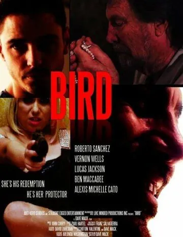 Скачать Bird (2020) через торрент бесплатно