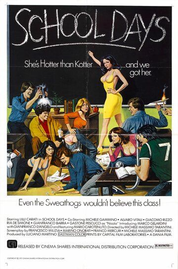 Скачать Учительница естественных наук (1976)