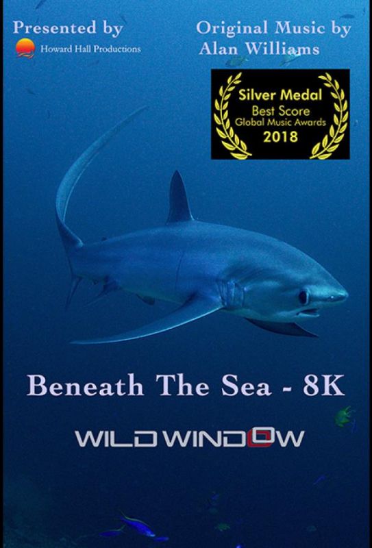 Скачать Wild Window: Beneath the Sea