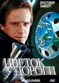 Цветок у дороги (1993) торрент