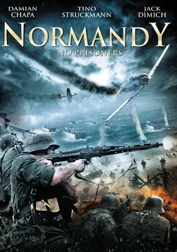 Скачать Красная роза Нормандии (2011)