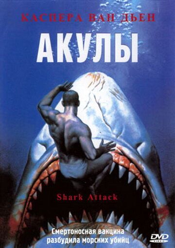 Скачать Акулы
