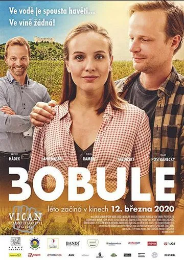 3Bobule (2020) торрент