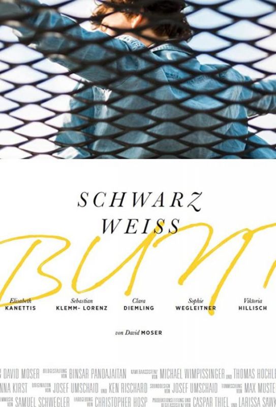 Скачать Schwarz Weiss Bunt (2020)