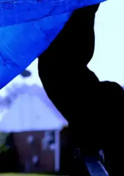 The Red Mask of Death (2019) торрент