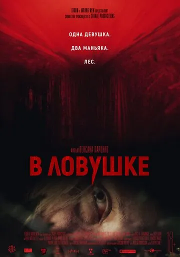 В ловушке (2020) торрент