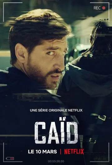 Скачать Дилер