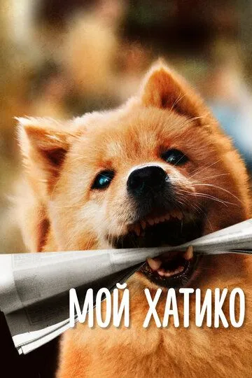 Скачать Мой Хатико[xfgiven_year1] ()[/xfgiven_year1]