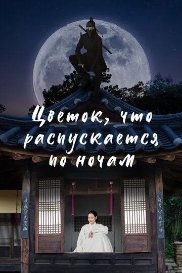 Скачать Цветок, что распускается по ночам
