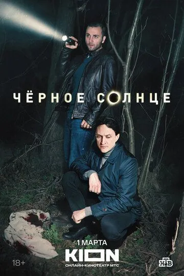 Скачать Чёрное солнце