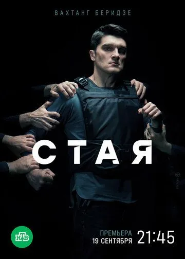 Скачать Стая