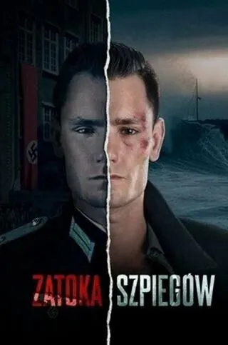 Скачать Шпионский залив
