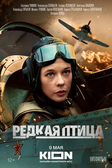 Скачать Редкая птица