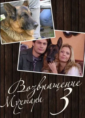 Скачать Возвращение Мухтара 3