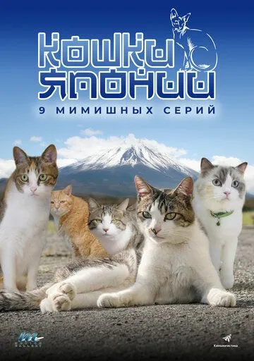 Скачать Кошки Японии