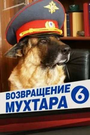 Скачать Возвращение Мухтара 6