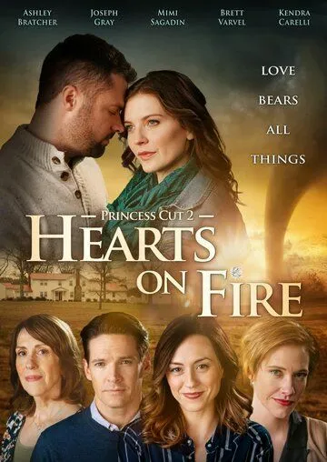 Скачать Princess Cut 2: Hearts on Fire