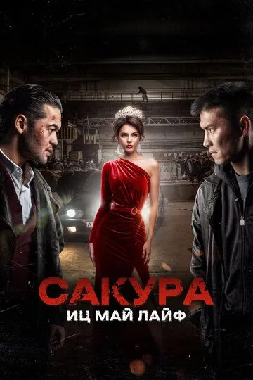 Скачать Сакура. Иц май лайф[xfgiven_year1] ()[/xfgiven_year1]