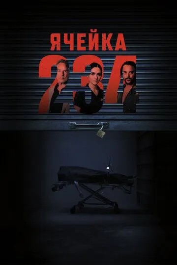 Скачать Ячейка 234