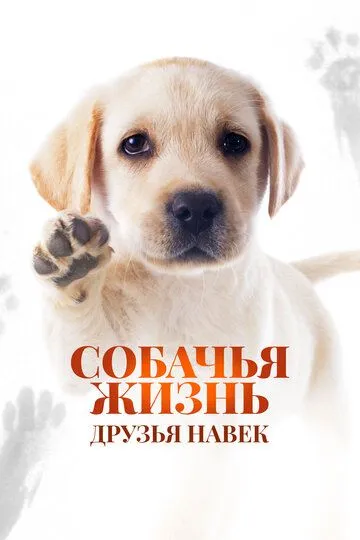 Скачать Собачья жизнь: Друзья навек