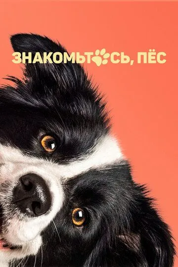 Скачать Знакомьтесь, пёс