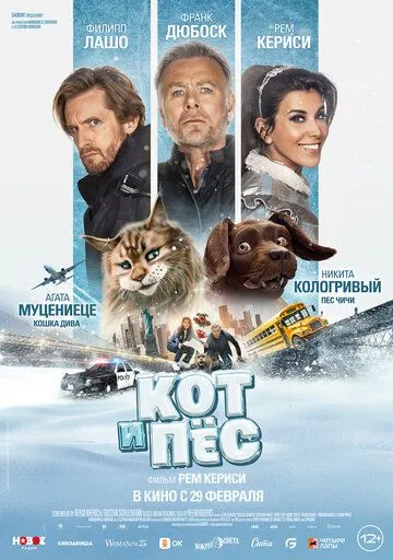 Скачать Кот и пёс