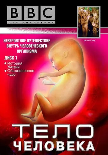 Скачать BBC: Тело человека