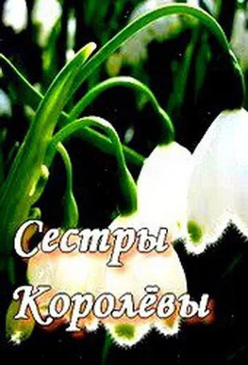 Скачать Сестры Королевы[xfgiven_year1] ()[/xfgiven_year1]