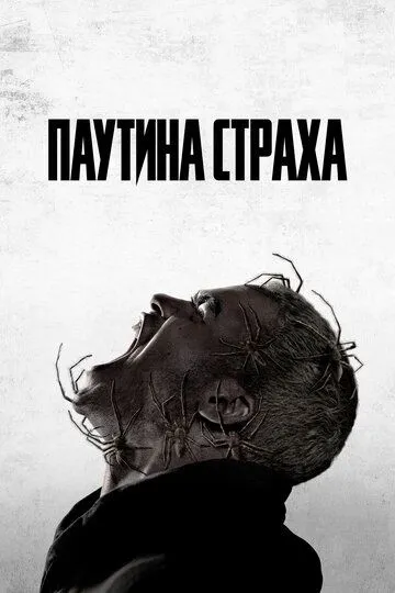 Скачать Паутина страха (2023)