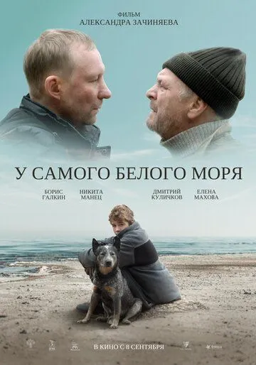 У самого Белого моря (2022) торрент