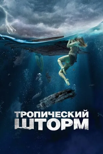 Скачать Тропический шторм