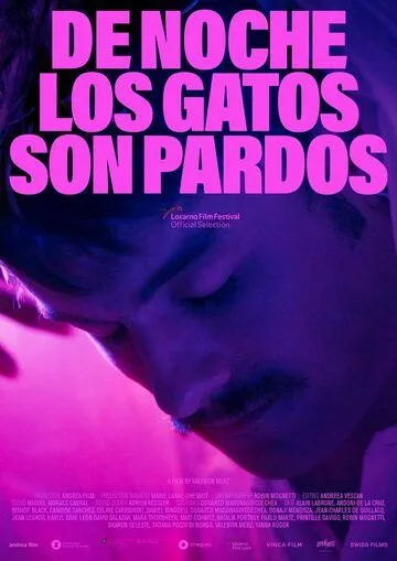 De noche los gatos son pardos (2022) через торрент бесплатно Скачать De noche los gatos son pardos (2022) через торрент бесплатно