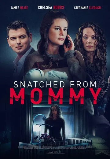 Скачать Snatched from Mommy