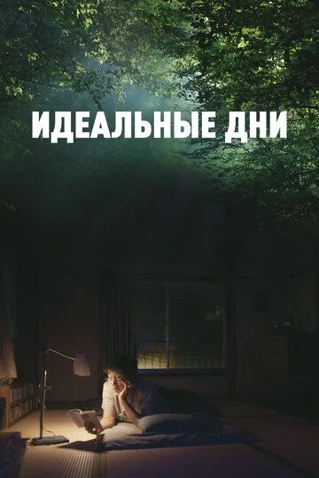 Скачать Идеальные дни (2023)