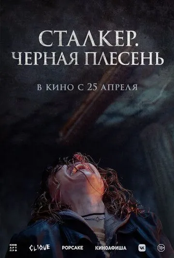 Скачать Сталкер. Черная плесень