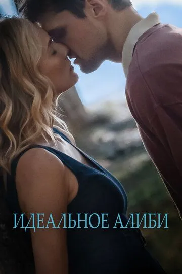 Скачать Идеальное алиби