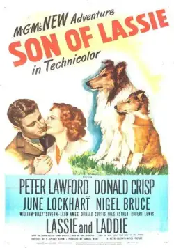 Сын Лесси (1945) торрент