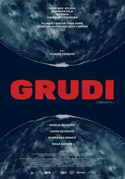 Grudi (2020) торрент