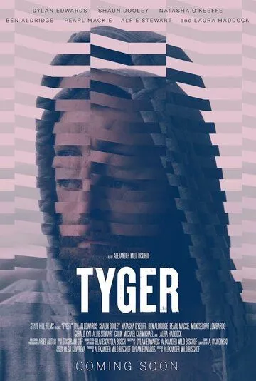Скачать Тигр