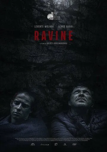 Скачать Hasadék (2021) через торрент бесплатно