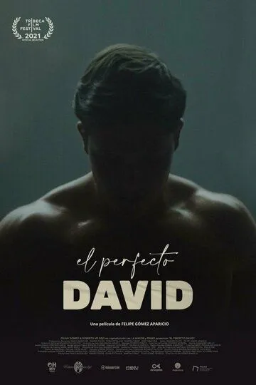 Скачать El perfecto David