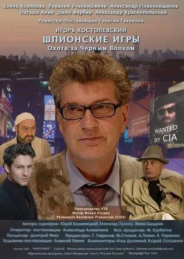 Шпионские игры: Охота на черного волка (2006) торрент