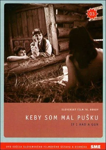 Скачать Если бы у меня было ружье (1971)